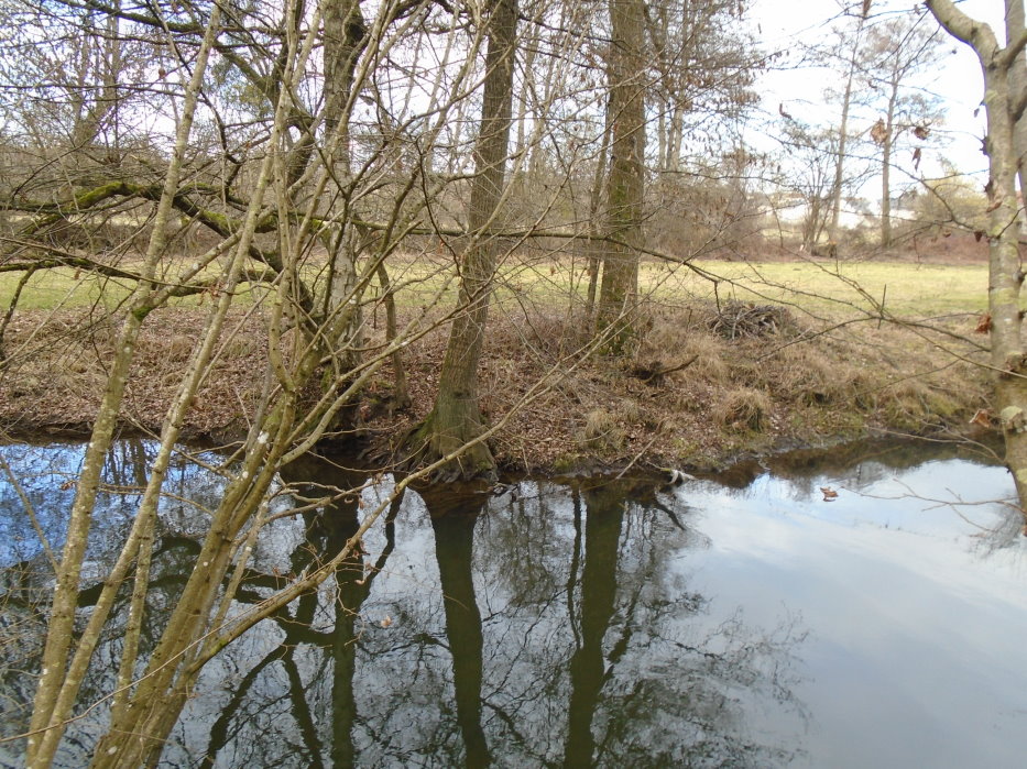 calestienne06401_32975700321.jpg