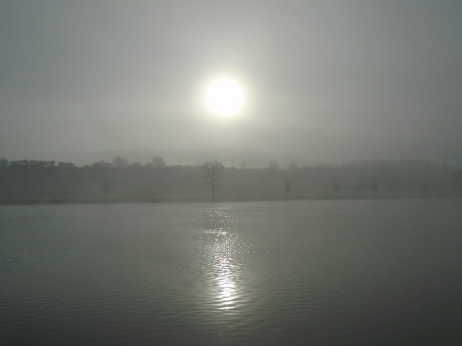 calestienne06431_32287541233.jpg