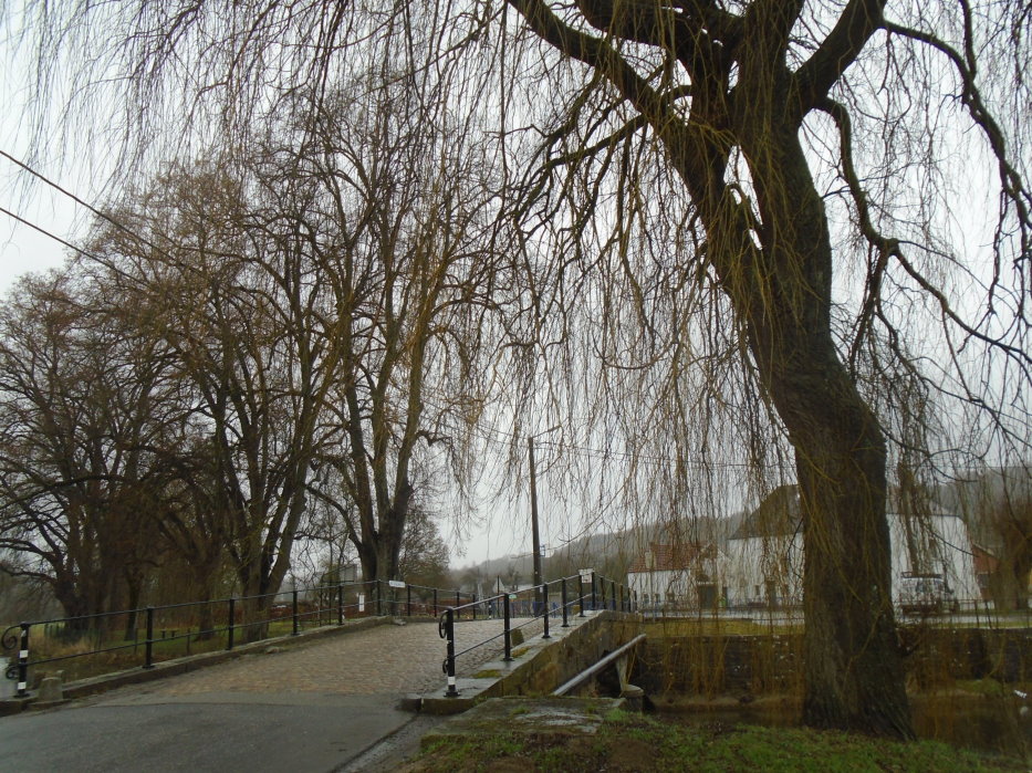 calestienne06483_32946335712.jpg