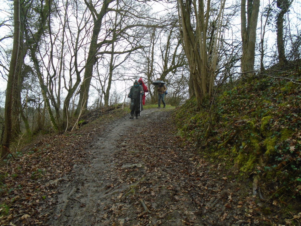 calestienne06543_33281114855.jpg