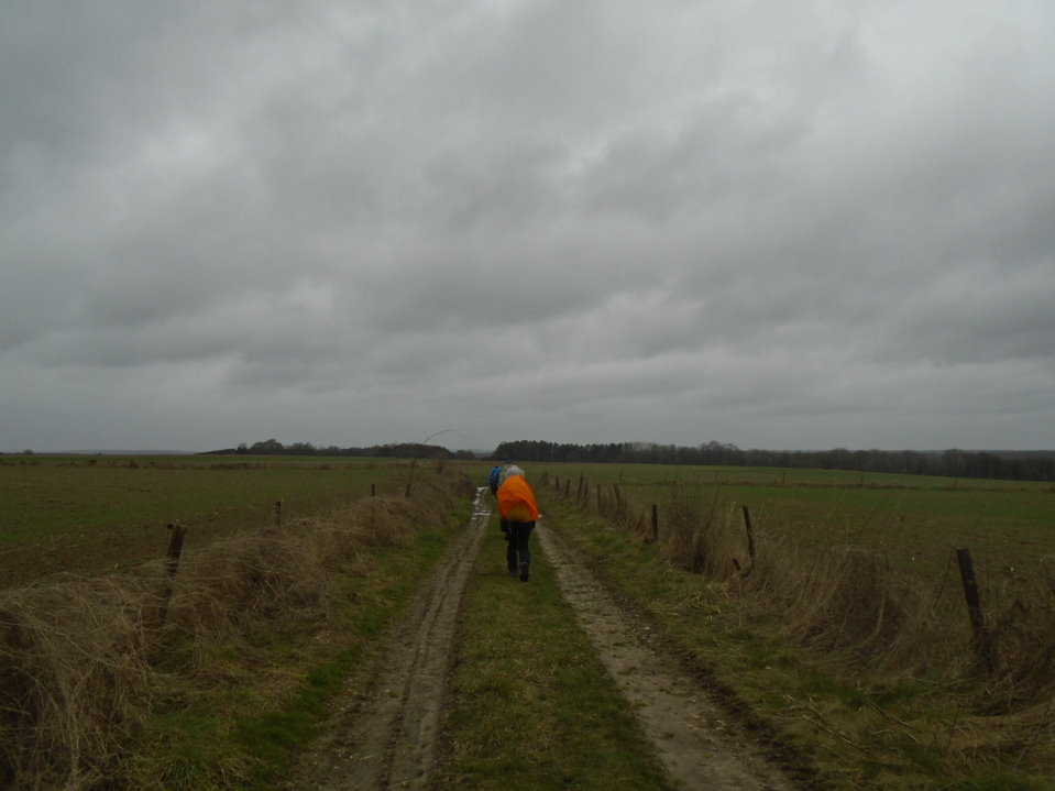 calestienne06593_32466279023.jpg