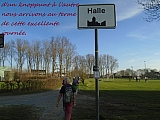 halle6651_33412675255.jpg