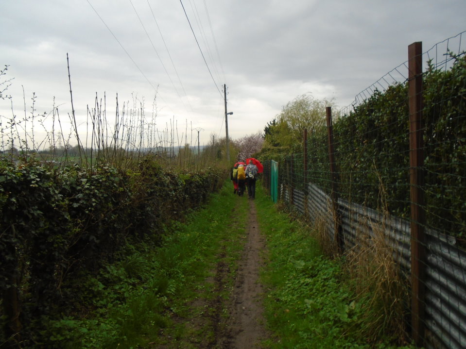 battice06724_33690269891.jpg