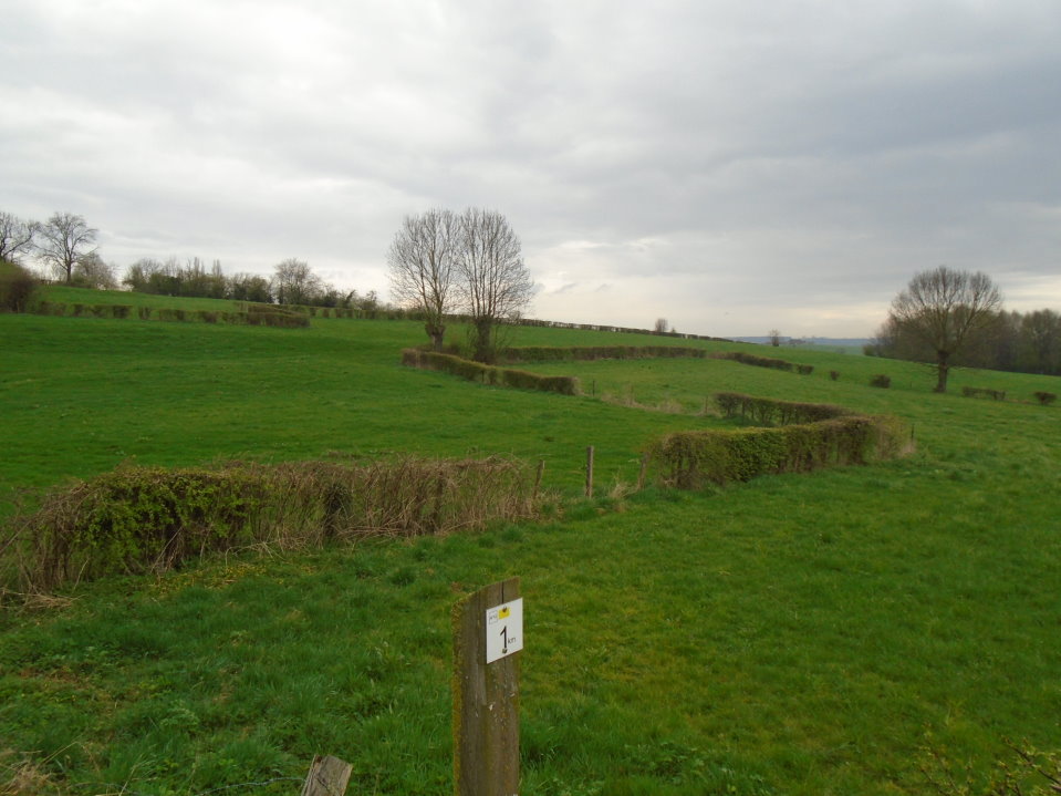 battice06726_33434696470.jpg