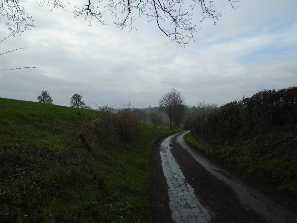 battice06730_33778719066.jpg