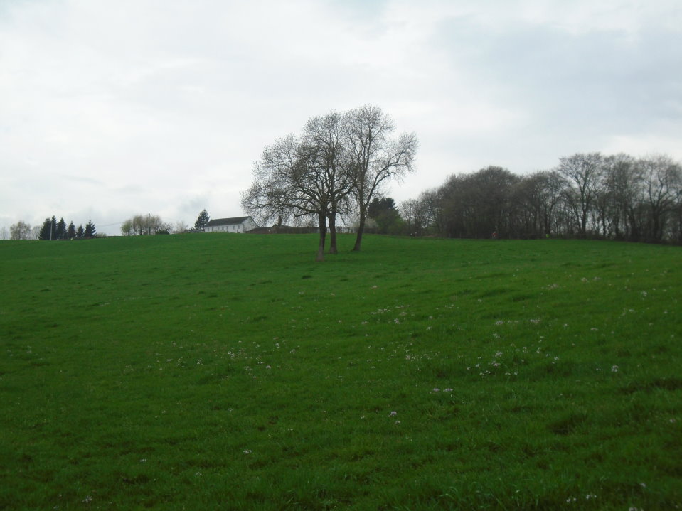battice06734_33434673780.jpg