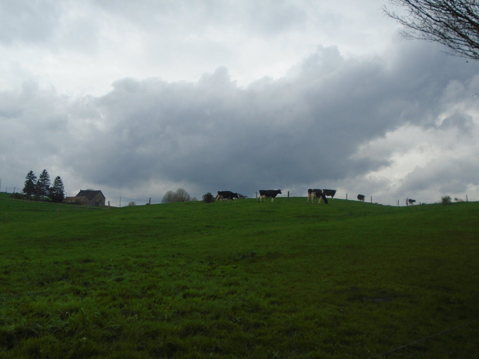 battice06737_33690234191.jpg