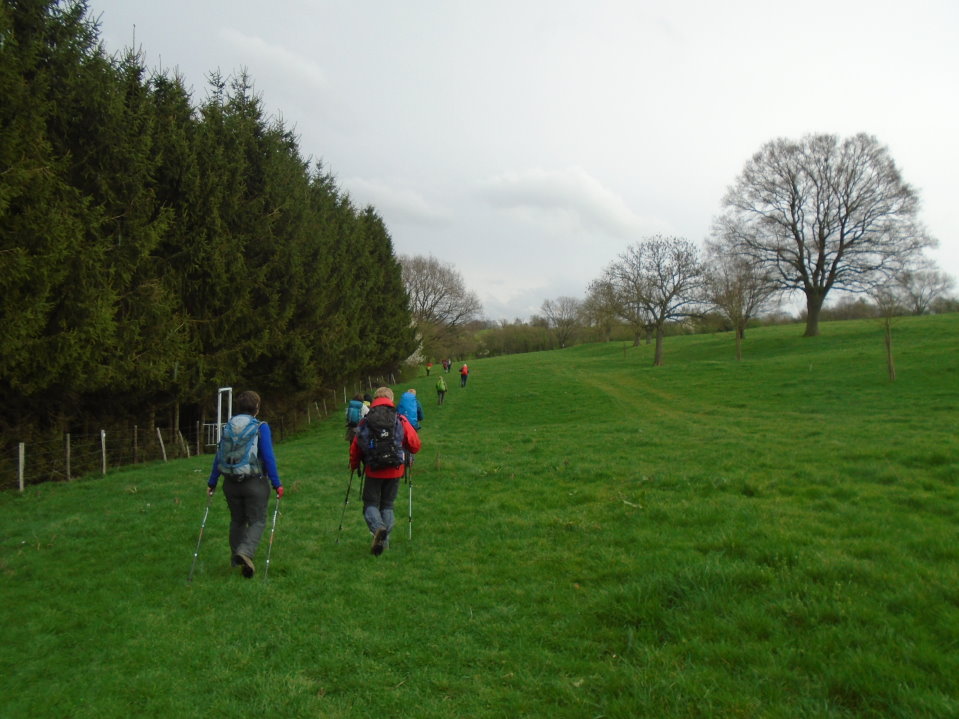 battice06743_33778688686.jpg