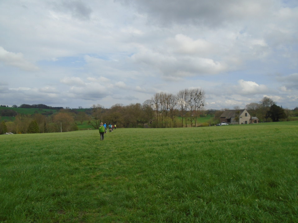 battice06748_33434650280.jpg