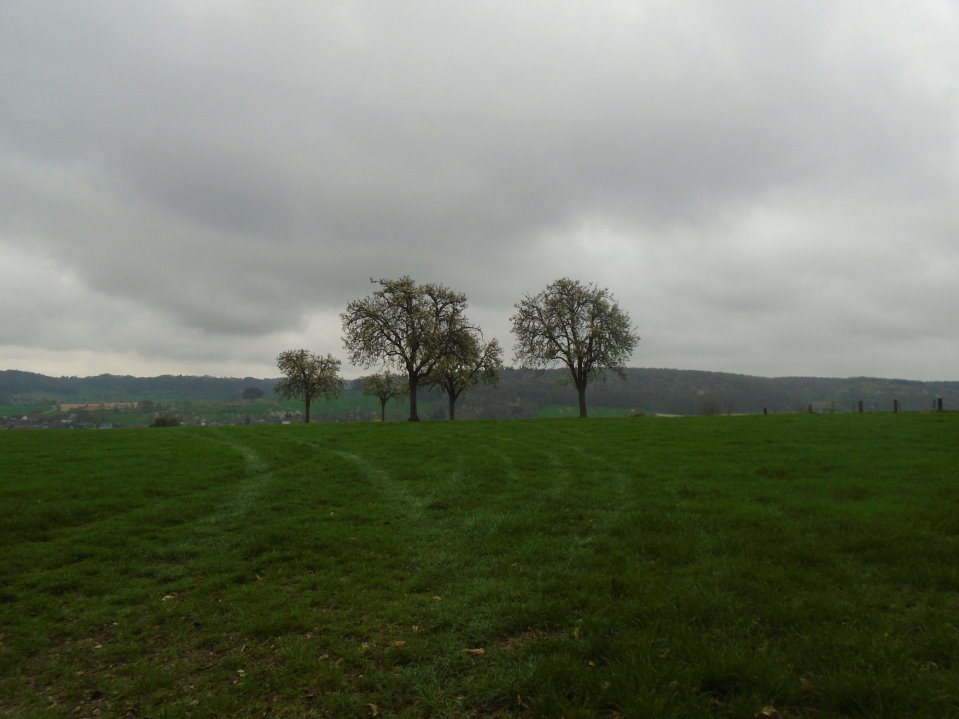 battice06761_33819637635.jpg