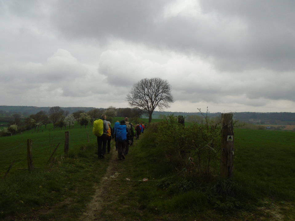 battice06762_33006277893.jpg