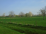 voeren06811_33006185123.jpg