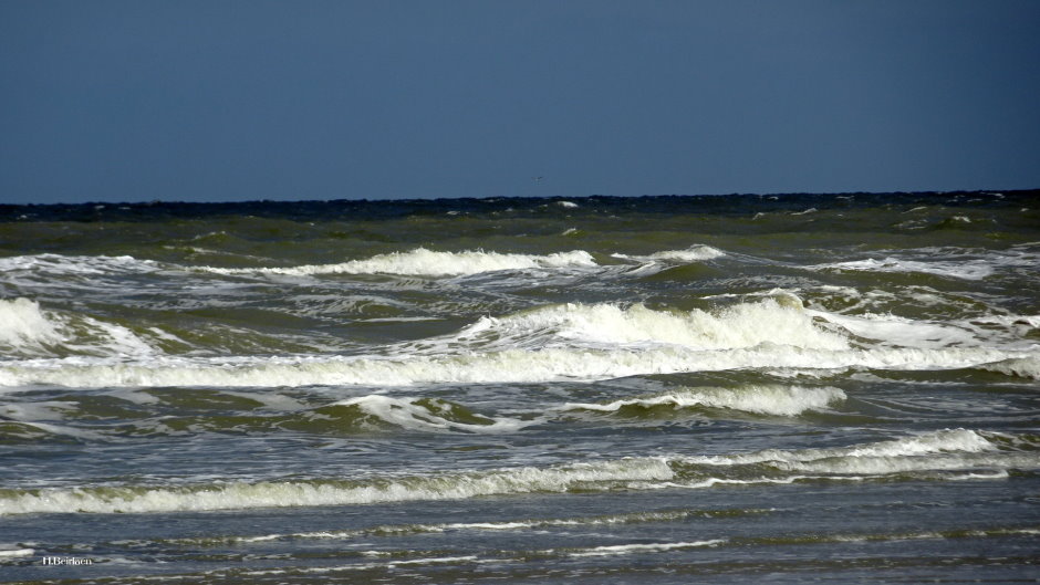 Ostende 033.jpg