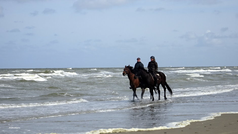 Ostende 041.jpg