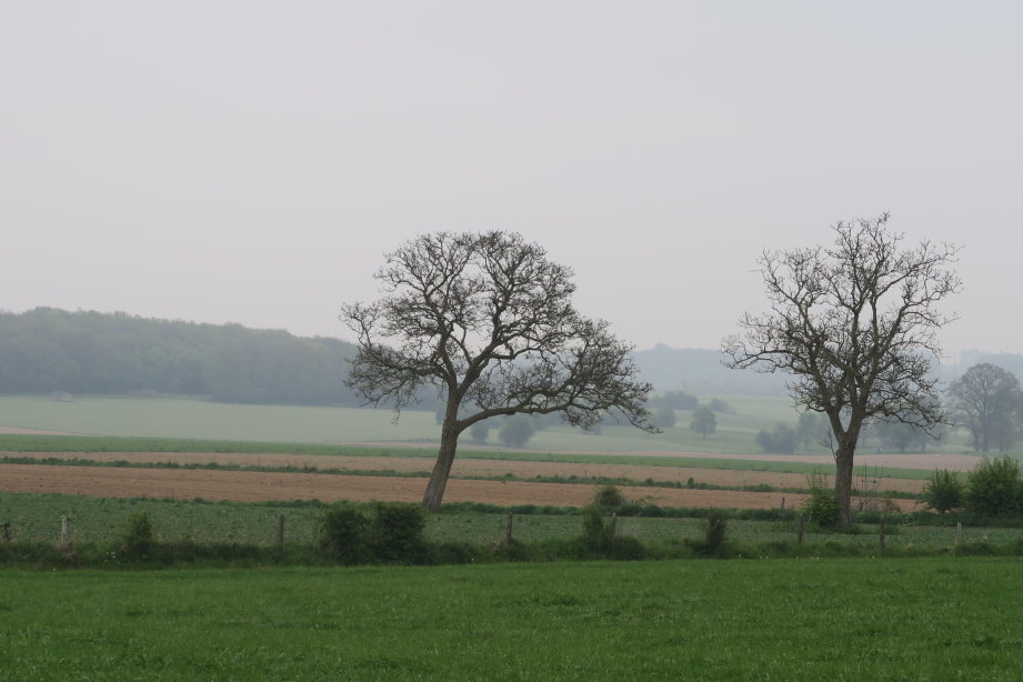 calestienne2218.jpg