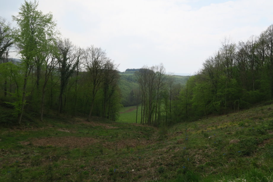 calestienne2238.jpg
