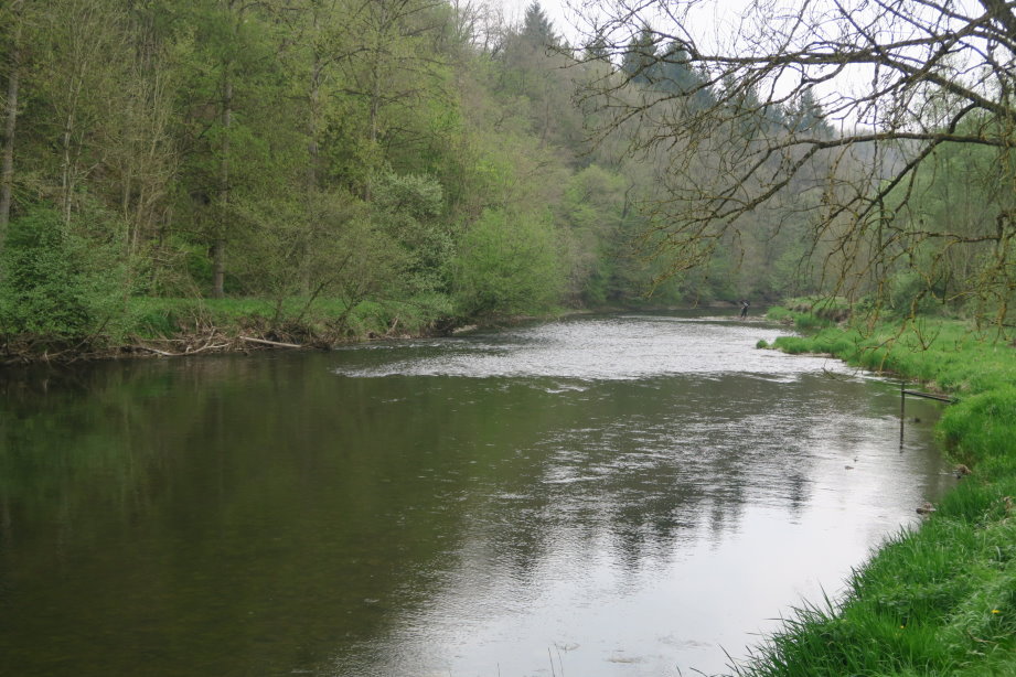 calestienne2257.jpg