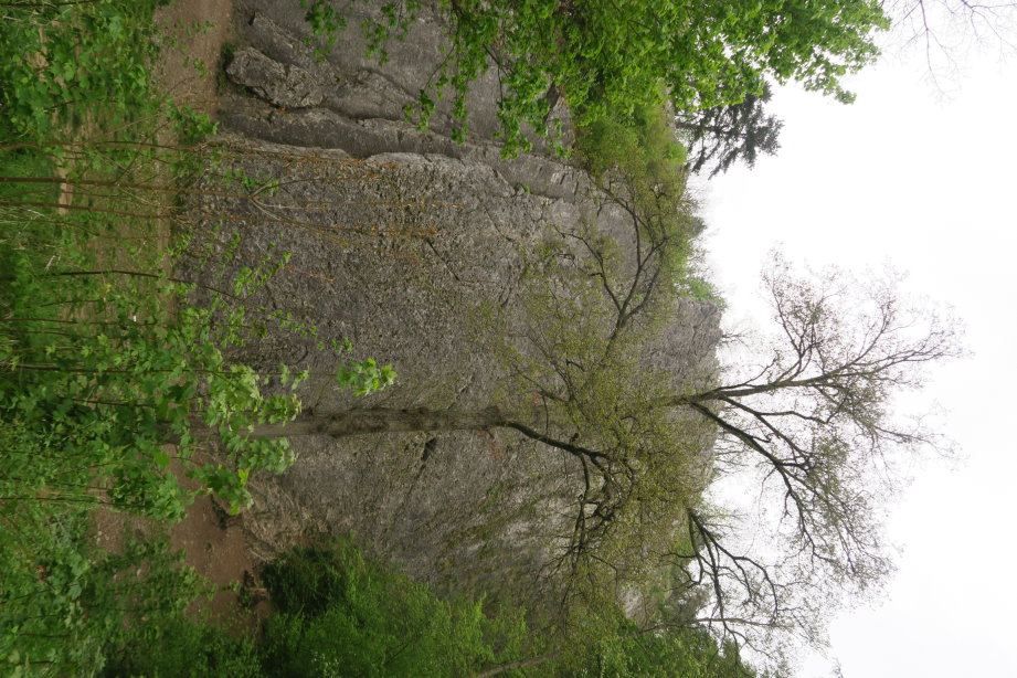 calestienne2273.jpg