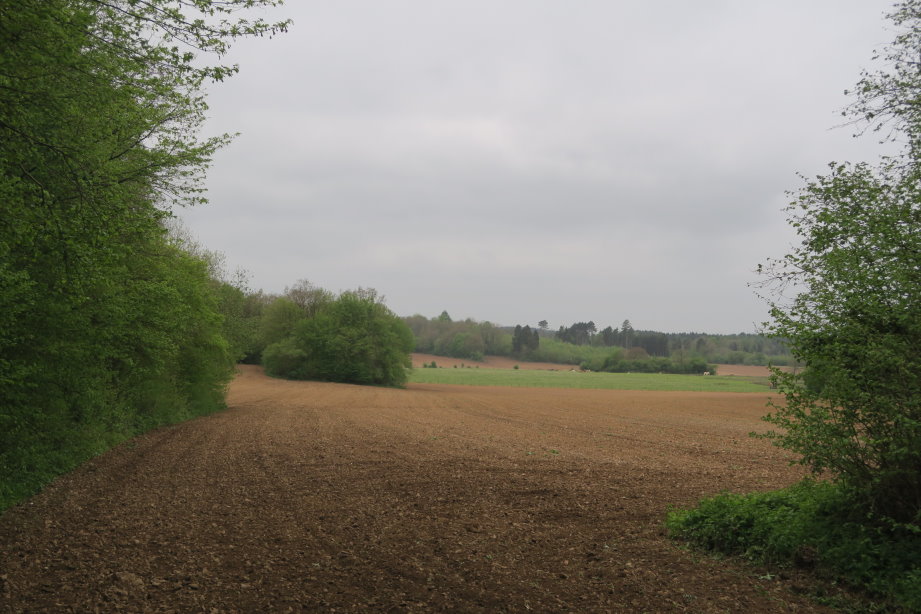 calestienne2284.jpg