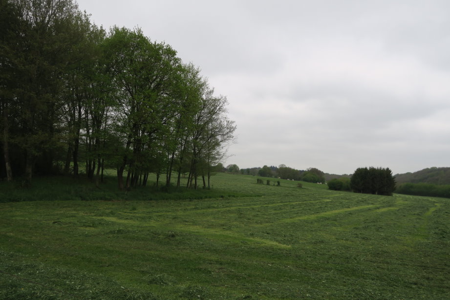 calestienne2289.jpg