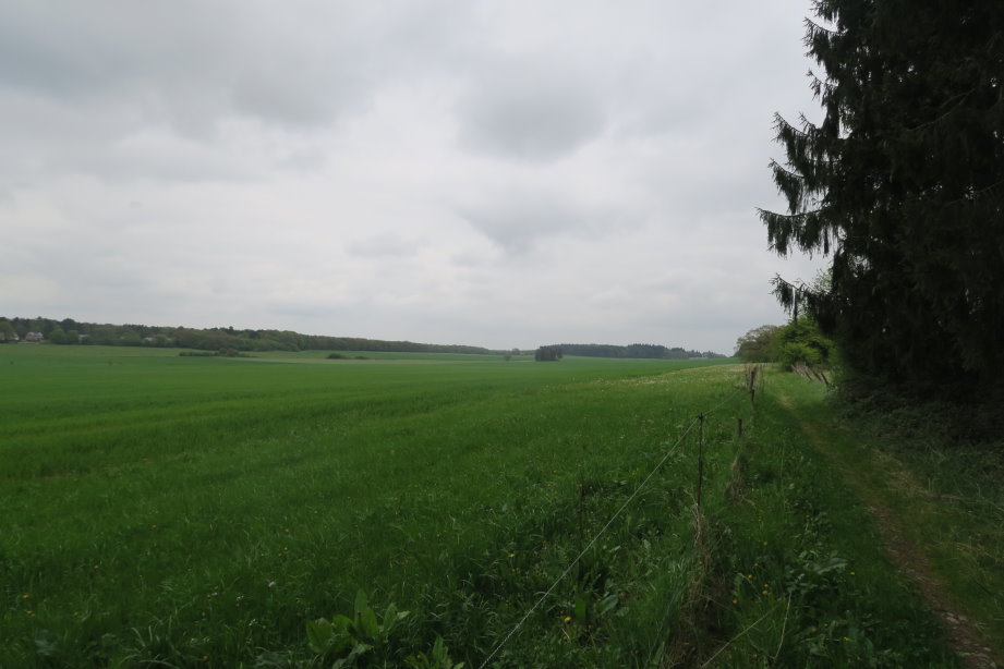calestienne2310.jpg