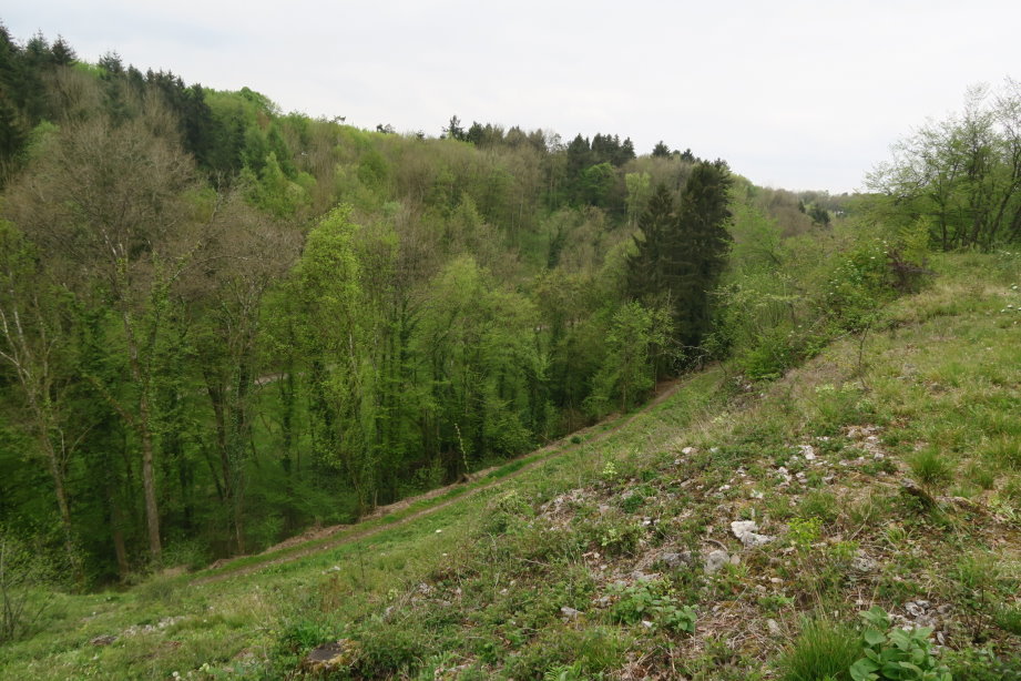 calestienne2316.jpg