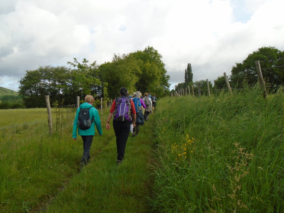 le_perche07268.jpg