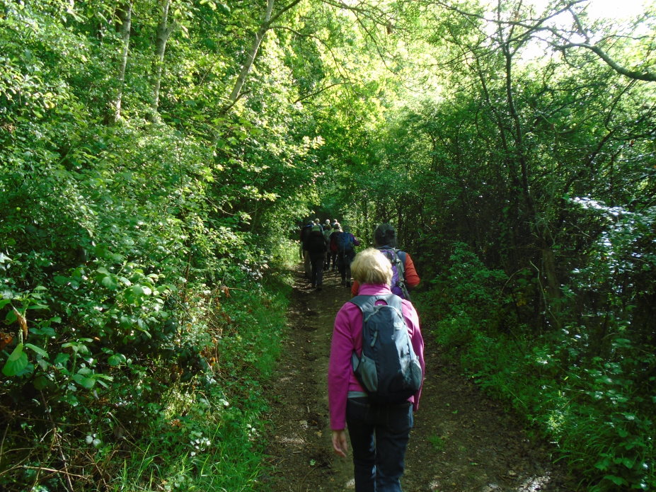 le_perche07270.jpg