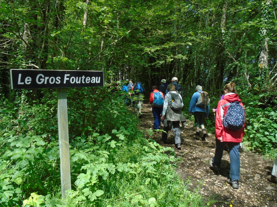 le_perche07286.jpg