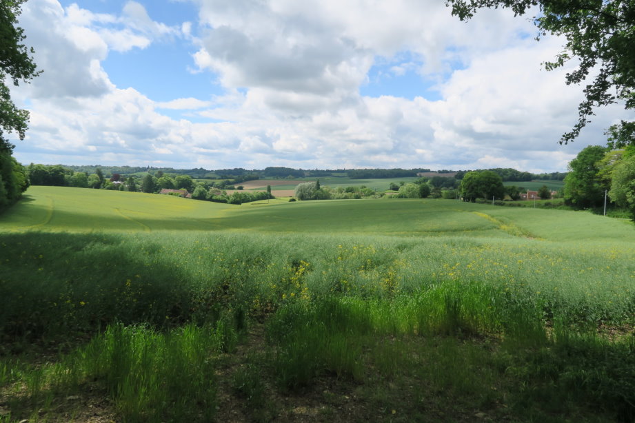 le_perche2547.jpg