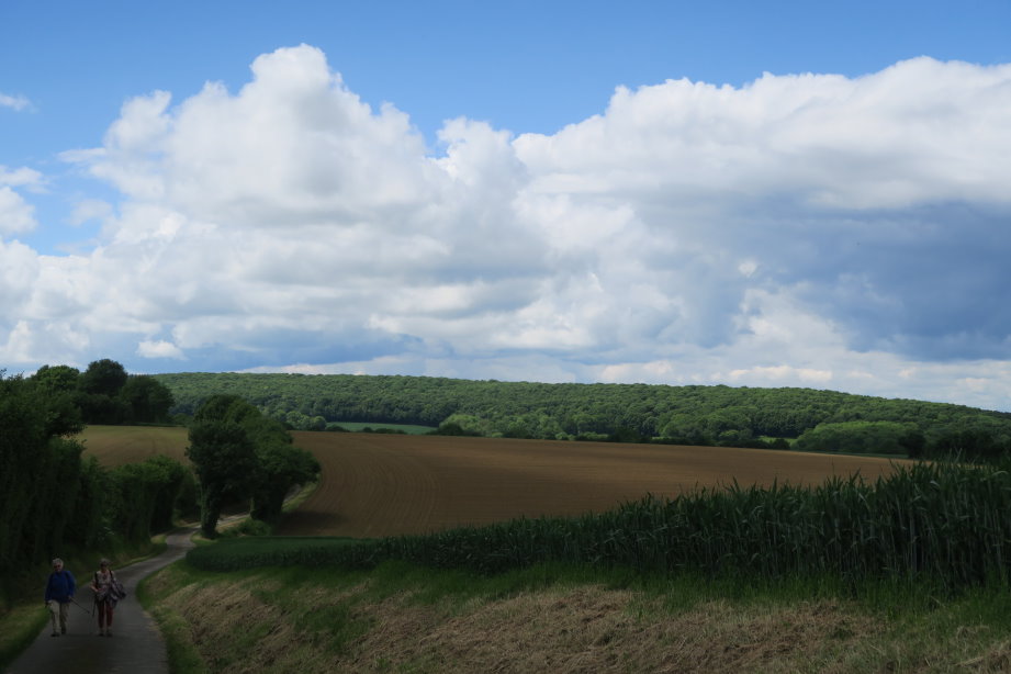 le_perche2565.jpg