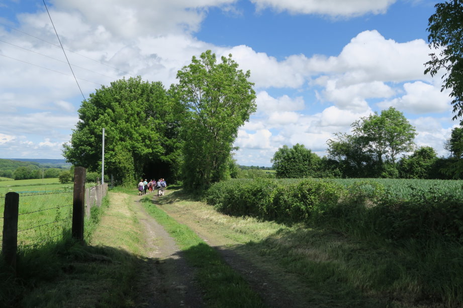 le_perche2571.jpg