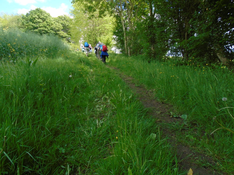 le_perche07378.jpg