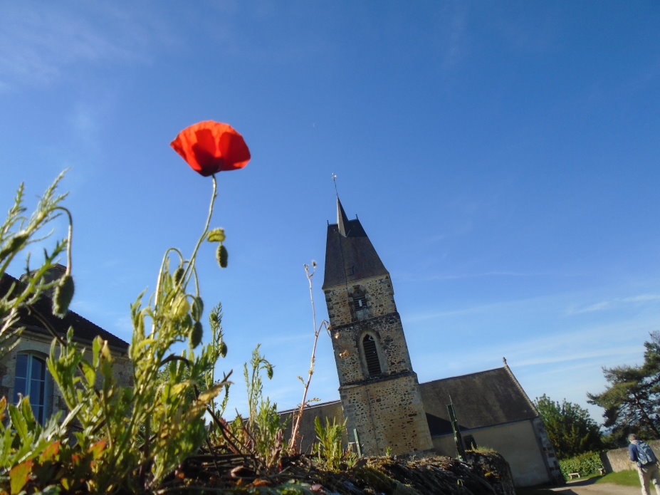 le_perche07438.jpg