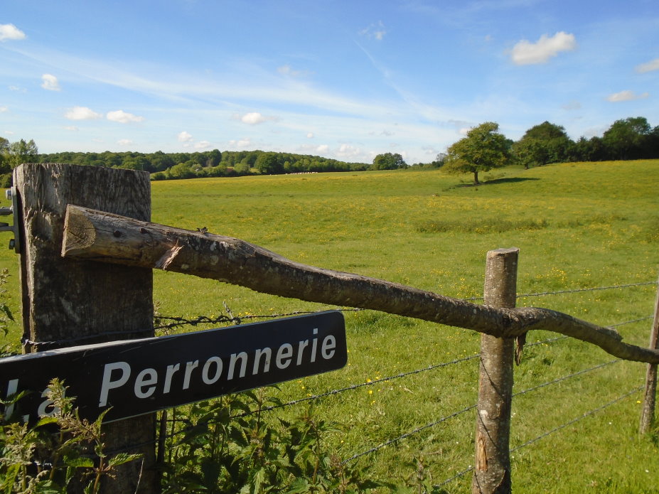 le_perche07450.jpg