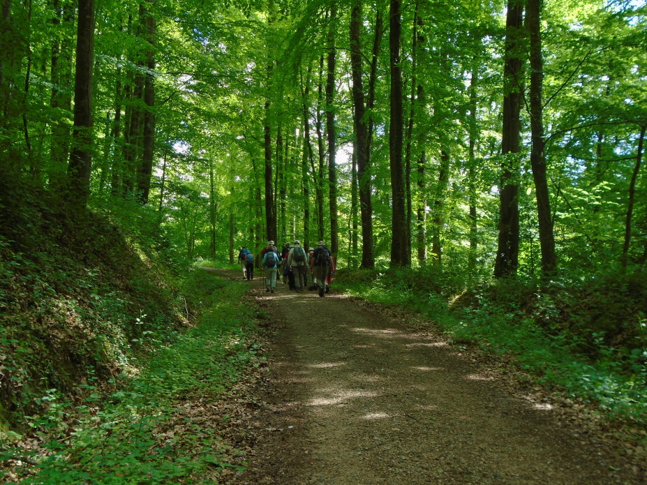 le_perche07473.jpg