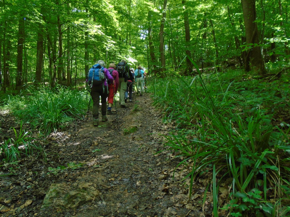 le_perche07475.jpg