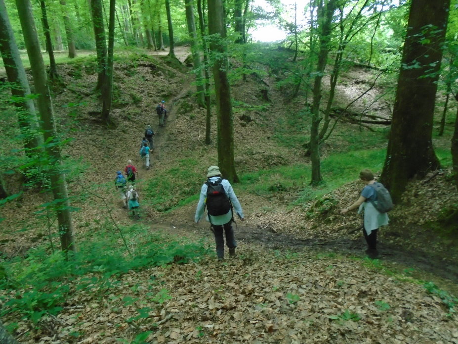 le_perche07478.jpg