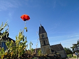 le_perche07438.jpg