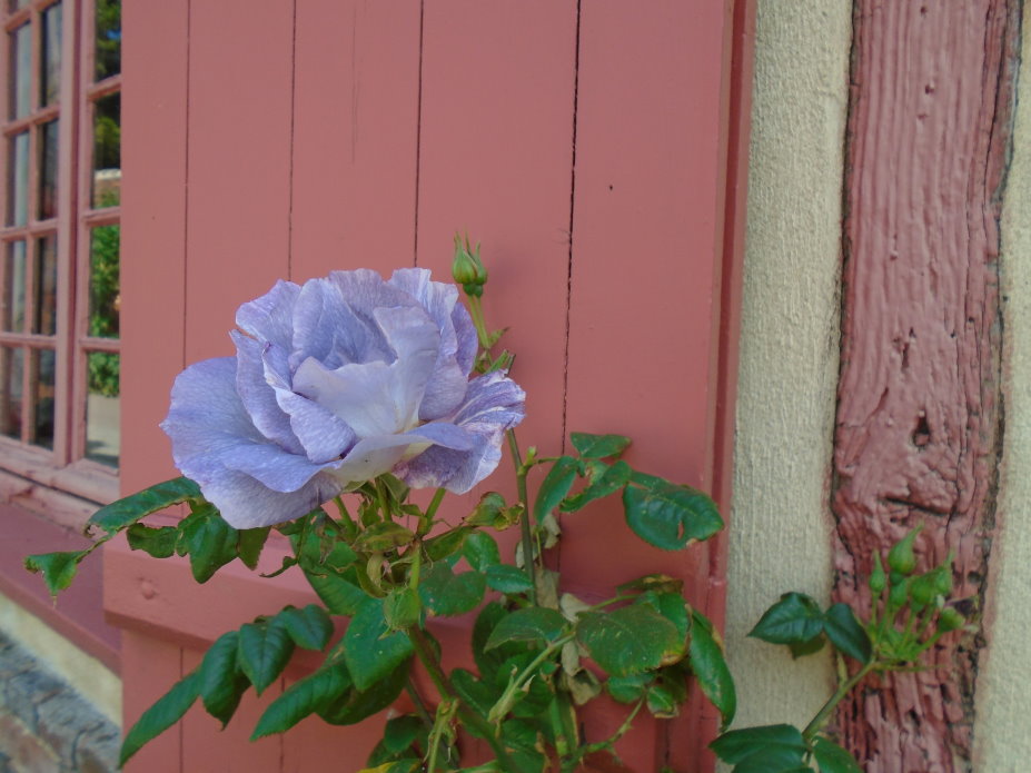 le_perche07493.jpg
