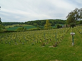 le_perche07505.jpg