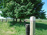 grammont07510_34574445820.jpg