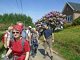 grammont07512_34829558841.jpg