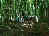 grammont07517_34921163876.jpg