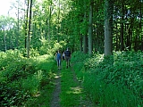 grammont07519_34797723192.jpg