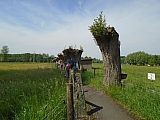 grammont07532_34151106873.jpg