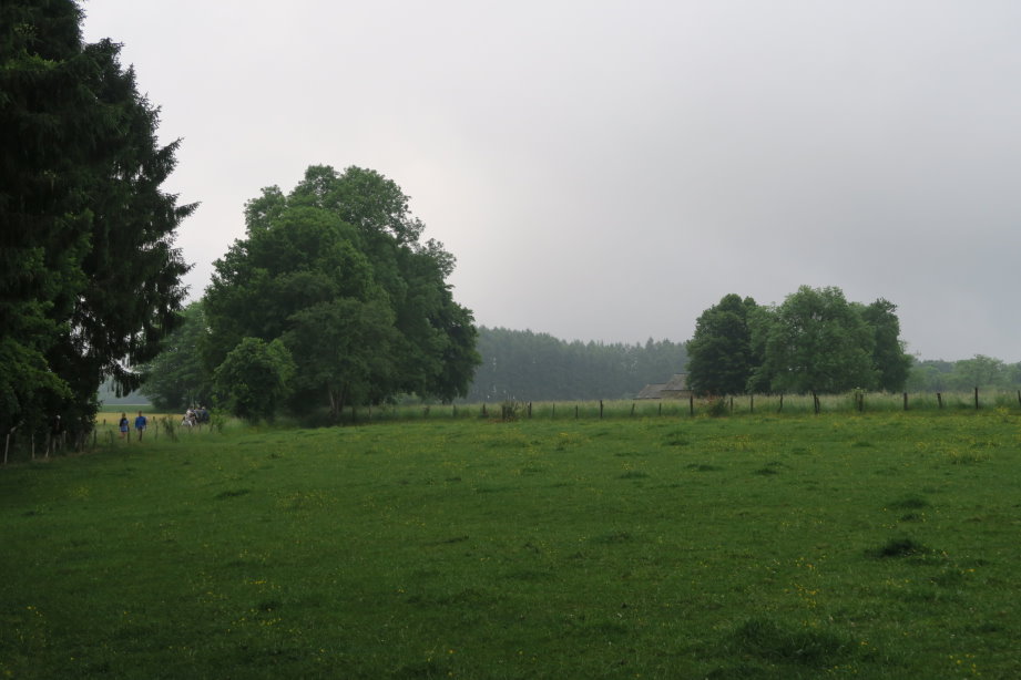 libin2740.JPG