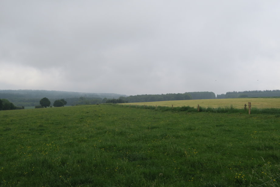libin2742.JPG