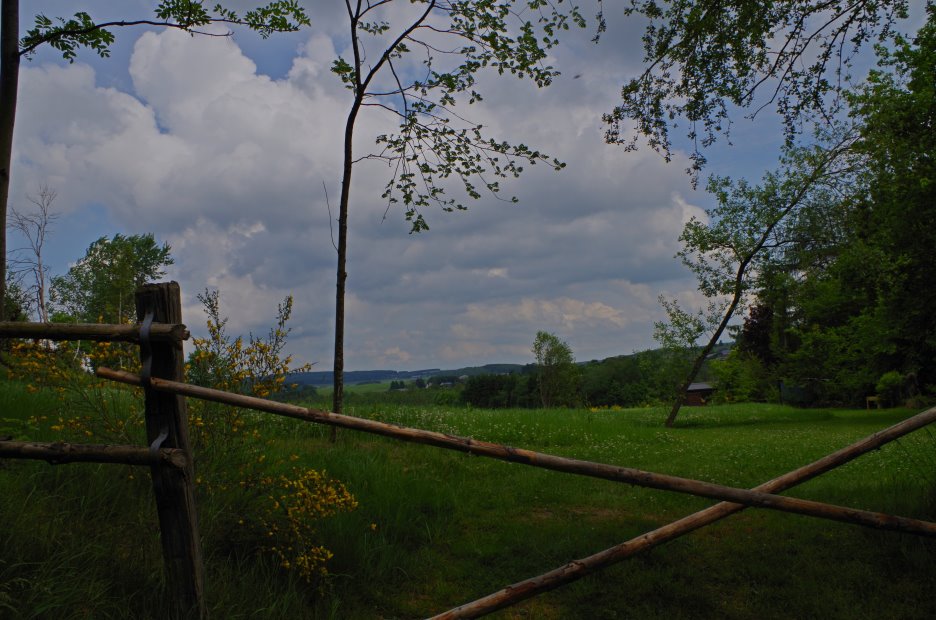 libin0501.JPG