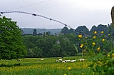 libin0542.JPG